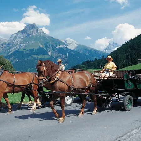 Next To Titlis Station *