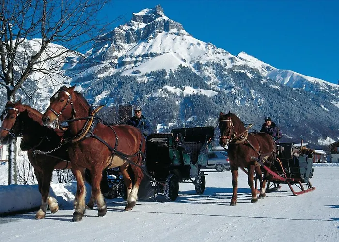 Next To Titlis Station Apartment *