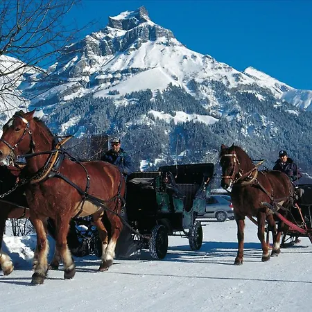 Next To Titlis Station Apartment *